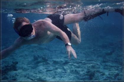 Bill diving